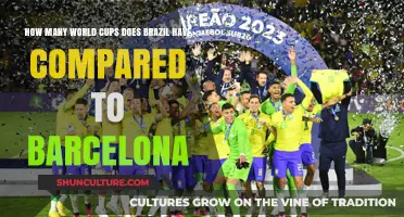 Brazil vs. Barcelona: Comparing World Cup and Club Success