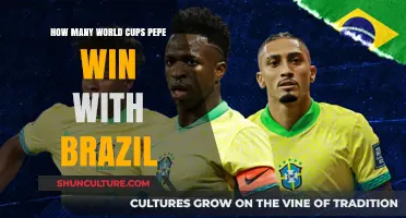 Pepe's World Cup Triumphs: Brazil's Legendary Defender's Victories