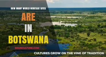 Botswana's World Heritage Sites: A Comprehensive Exploration and Count