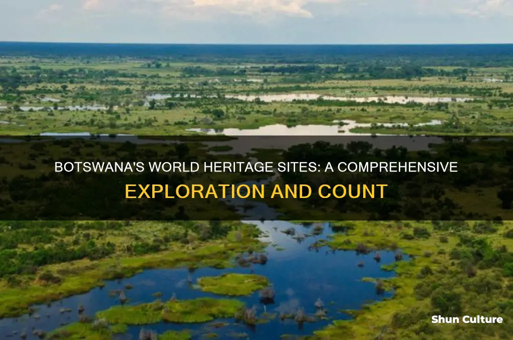how many world heritage sites are in botswana