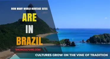 Exploring Brazil's Rich Cultural Legacy: Its World Heritage Sites Count