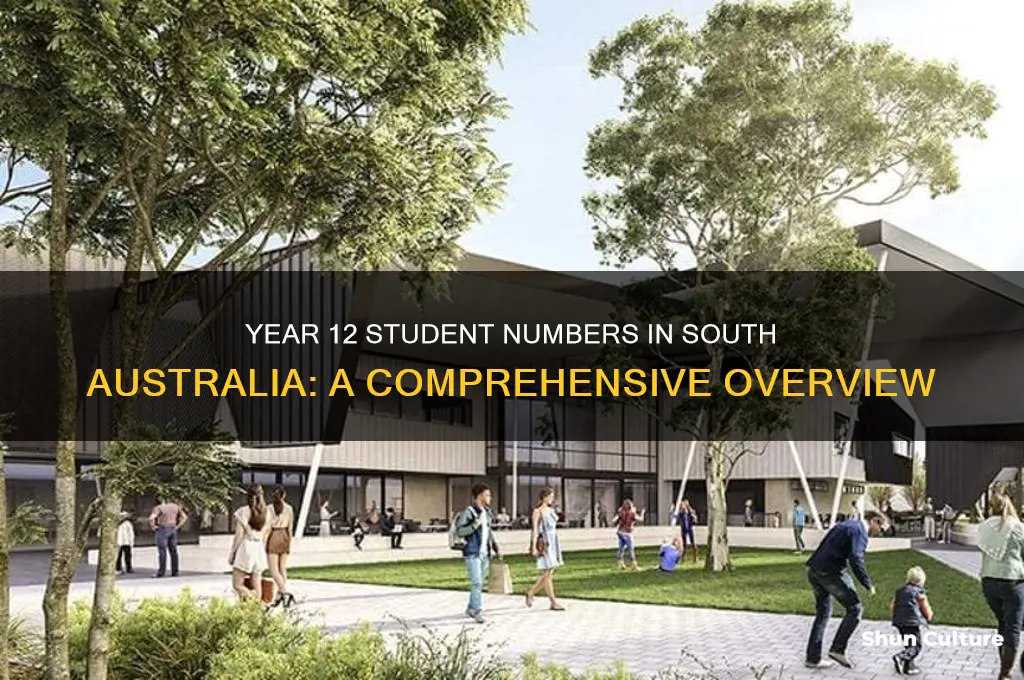 how many year 12 students in south australia