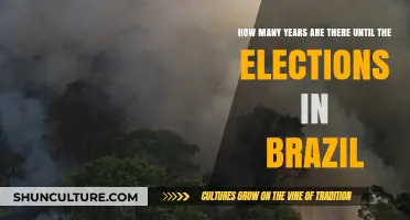 Brazil's Next Election Countdown: Years Remaining Until the Polls Open