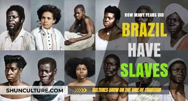 Brazil's Dark History: Years of Slavery and Its Legacy