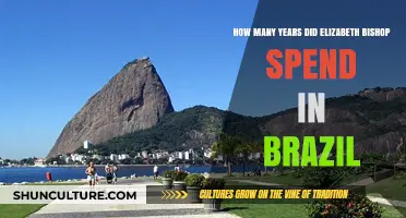 Elizabeth Bishop's Brazilian Sojourn: A 15-Year Creative Journey