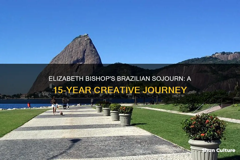 how many years did elizabeth bishop spend in brazil