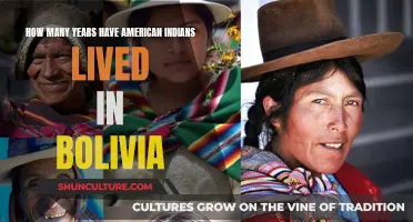 Indigenous Bolivians: A Centuries-Old History