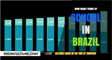 Understanding Brazil's Education System: Total Years of Schooling Explained