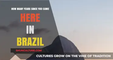 Years Gone By: Reflecting on Your Journey in Brazil