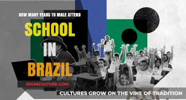 Average Years Brazilian Males Spend in School: A Comprehensive Overview