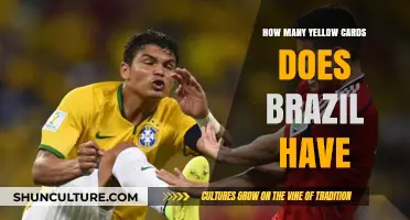 Brazil's Yellow Card Count: Tracking Disciplinary Records in Matches