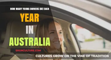 Young Drivers at Risk: Annual Fatalities on Australian Roads