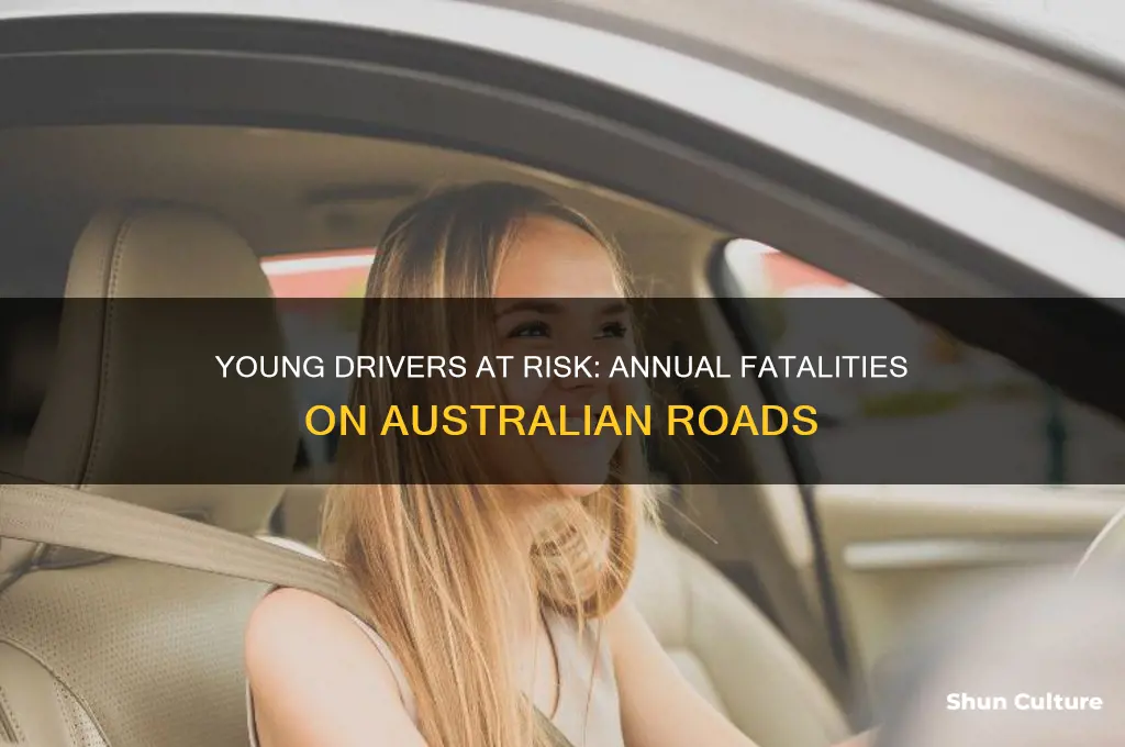 how many young drivers die each year in australia