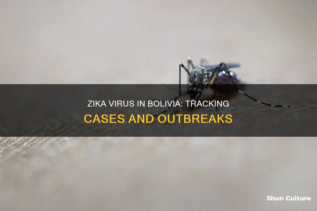 how many zika cases in bolivia