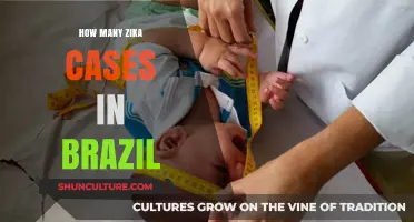 Zika Virus Outbreak: Tracking Cases and Impact in Brazil