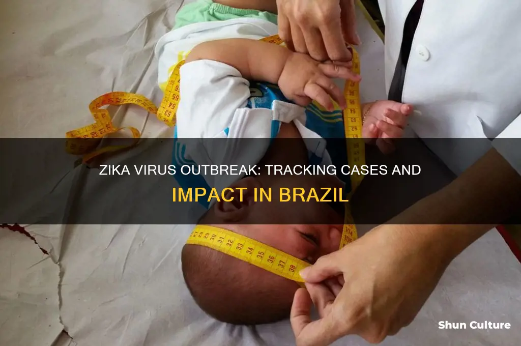 how many zika cases in brazil
