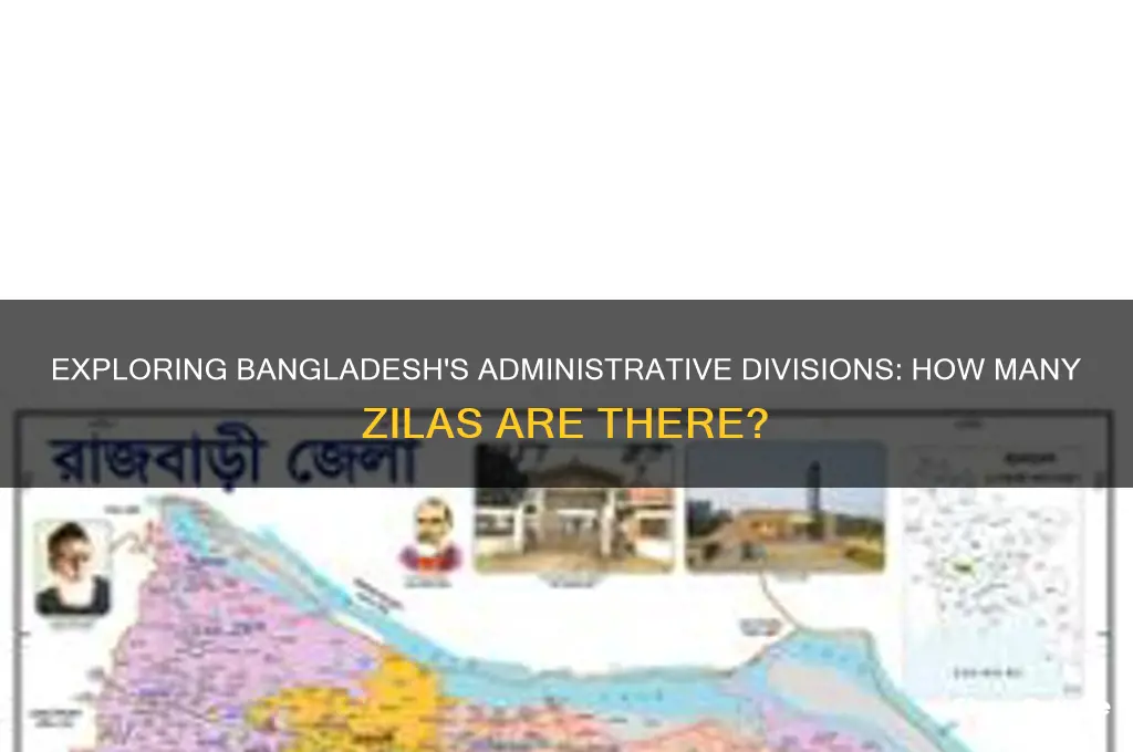 how many zila in bangladesh