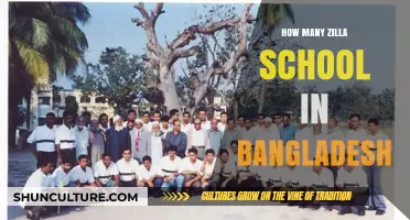 Exploring the Number of Zilla Schools Across Bangladesh