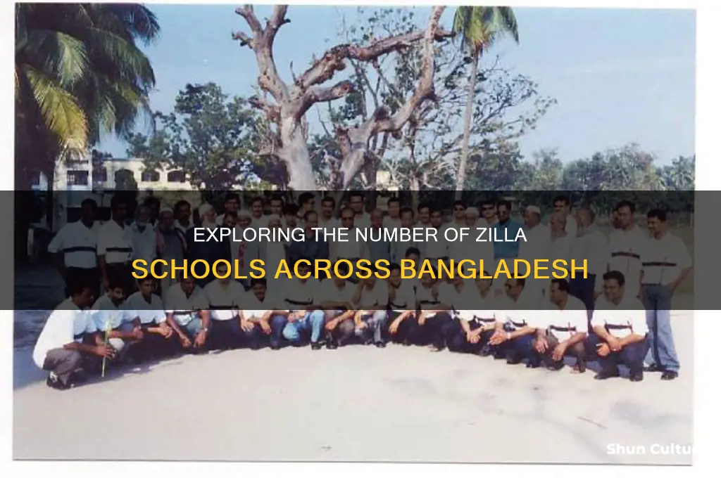 how many zilla school in bangladesh