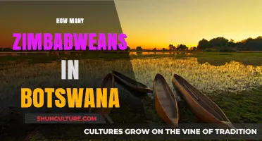 Zimbabwean Diaspora in Botswana: Exploring the Size and Impact