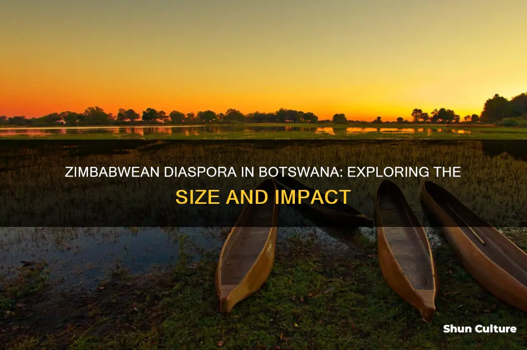 how many zimbabweans in botswana