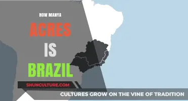 Exploring Brazil's Land Size: How Many Acres Does It Cover?