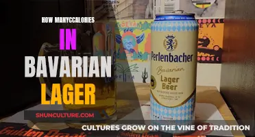 Calories in Bavarian Lager: Nutritional Breakdown