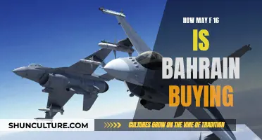 Bahrain's F-16 Fighter Jet Procurement from the US