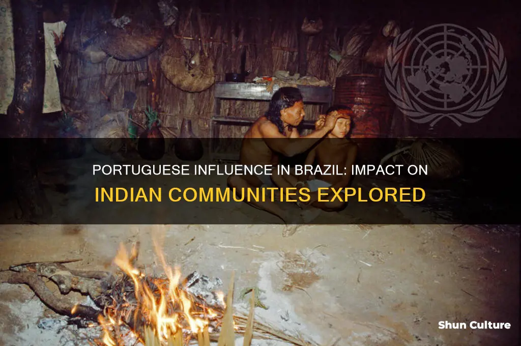 how may indiasn portugll kiil im brazil