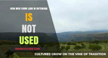 Unlocking Botswana's Potential: The Scale of Unused Farmland Revealed
