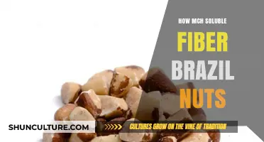 Soluble Fiber in Brazil Nuts: Benefits, Amounts, and Healthy Eating Tips