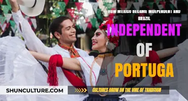 Mexico and Brazil's Paths to Independence from Colonial Rule