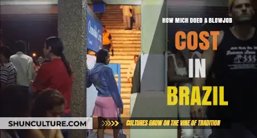 Exploring the Cost of Oral Sex Services in Brazil