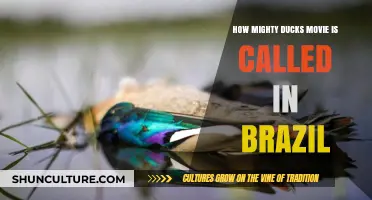 The Mighty Ducks' Brazilian Title: Unveiling the Local Name