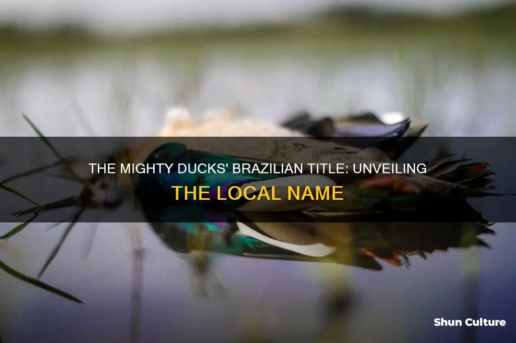 how mighty ducks movie is called in brazil