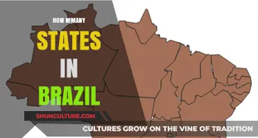 Exploring Brazil's Federal Structure: How Many States Does It Have?