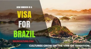 Brazil Visa Costs: A Comprehensive Guide to Fees and Requirements