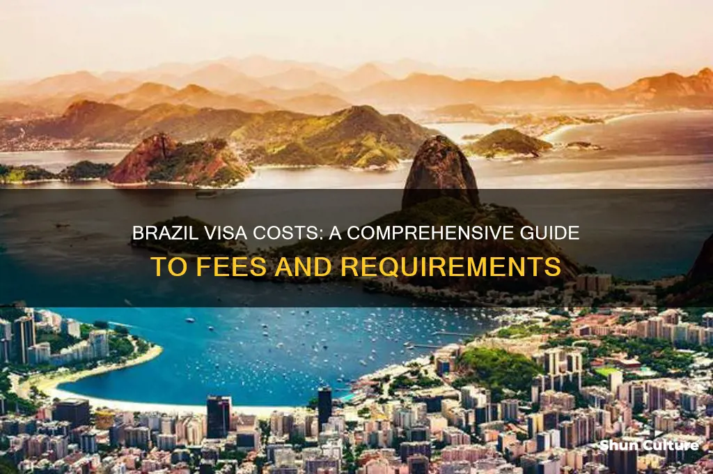 how mmuch is a visa for brazil