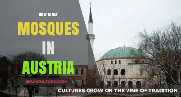 A Country's Mosque Count: Austria's Islamic Places of Worship