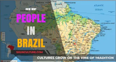 Exploring Brazil's Population: How Many People Call It Home?