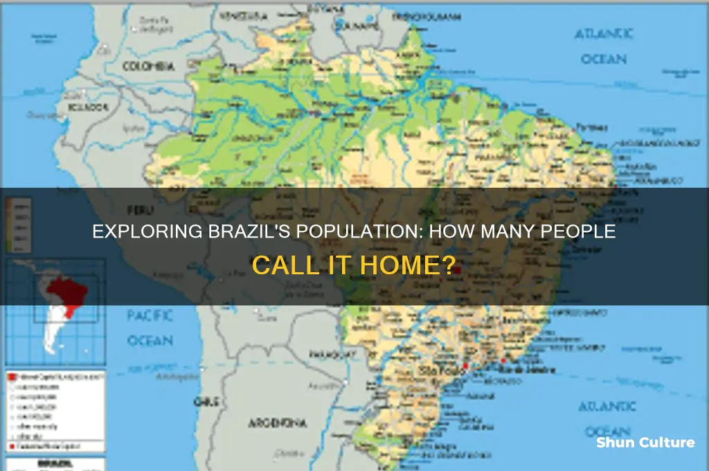 how mny people in brazil