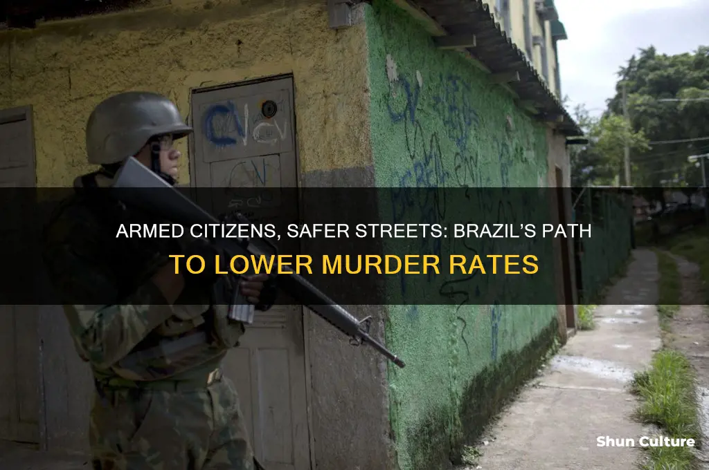 how more gun ownership can decrease murder rate in brazil