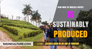 Brazil's Coffee Sustainability: How Much is Produced Responsibly?