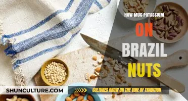Brazil Nuts Potassium Content: Benefits and Daily Intake Guide