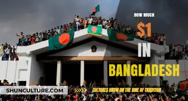 Exploring the Value: How Much is $1 Worth in Bangladesh?