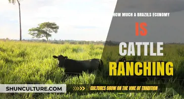 Cattle Ranching's Impact on Brazil's Economy: A Comprehensive Analysis