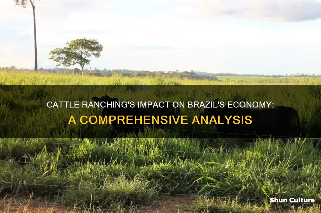 how much a brazils economy is cattle ranching