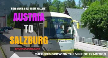 Exploring the Journey: Hallstatt to Salzburg by Bus