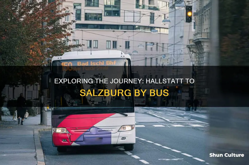 how much a bus from hallstat austria to salzburg