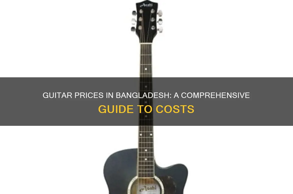 how much a guitar cost in bangladesh